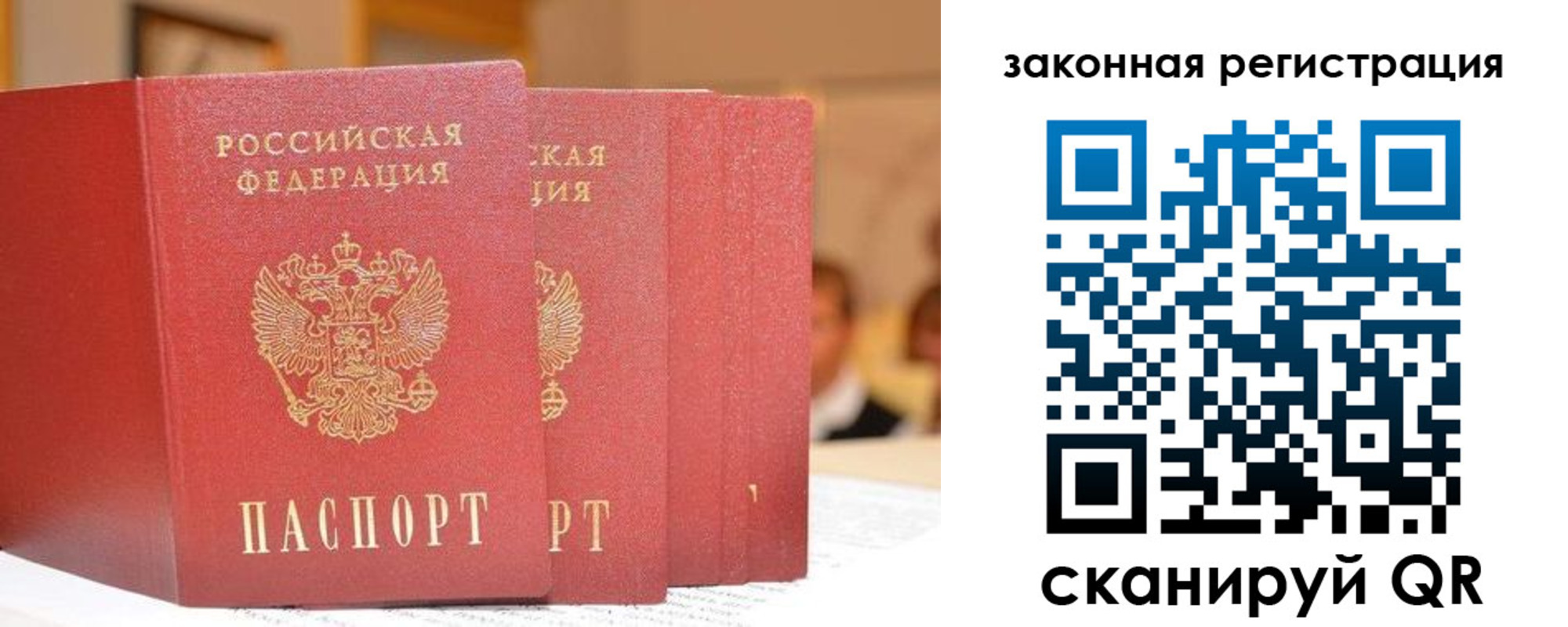 прописка поиск в Ненецком АО